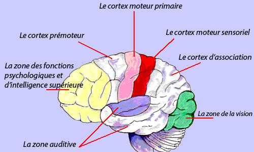la rétribution et la punition seraient sans fondement