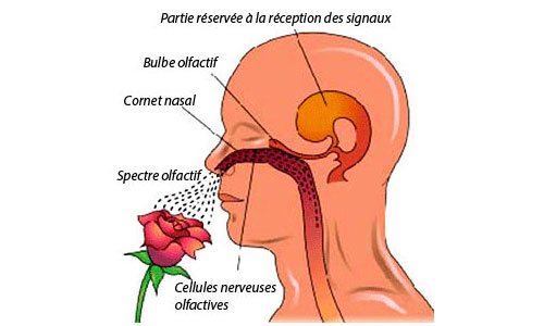 la rétribution et la punition seraient sans fondement