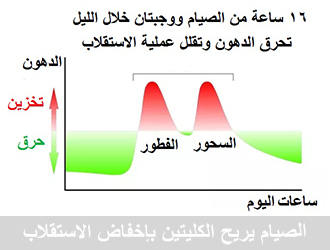 الصيام يريح الكليتين بإخفاض الاستقلاب